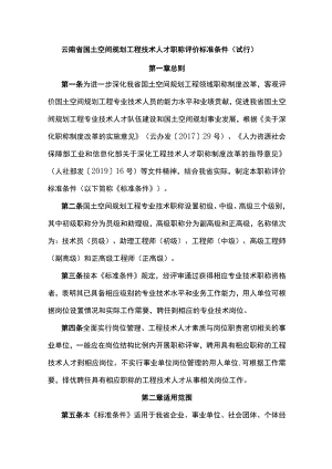 云南省国土空间规划工程技术人才职称评价标准条件（试行）.docx