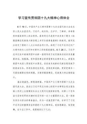 学习宣传贯彻团十九大精神心得体会.docx