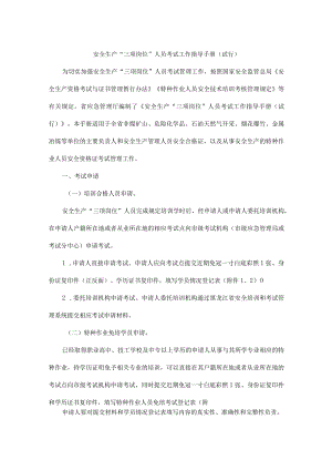 黑龙江安全生产“三项岗位”人员考试工作指导手册（试行）-全文及附表.docx