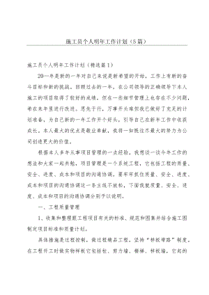 施工员个人明年工作计划（5篇）.docx