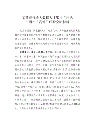 某某市打造大数据人才聚才“洼地”用才“高地” 经验交流材料.docx