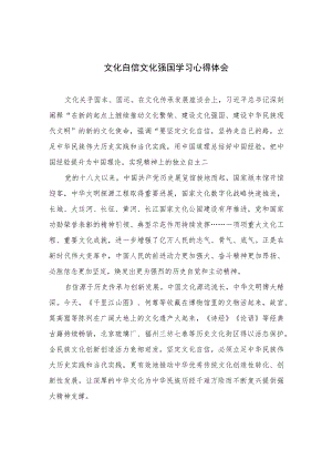 （6篇）2023文化自信文化强国学习心得体会（精编版）.docx