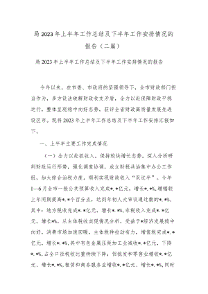 局2023年上半年工作总结及下半年工作安排情况的报告(二篇).docx