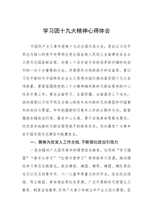 团十九大精神学习心得体会.docx