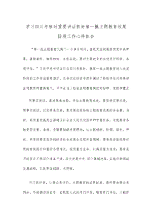 学习四川考察时重要讲话抓好第一批主题教育收尾阶段工作心得体会.docx