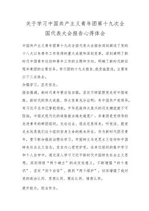 关于学习中国共产主义青年团第十九次全国代表大会报告心得体会.docx