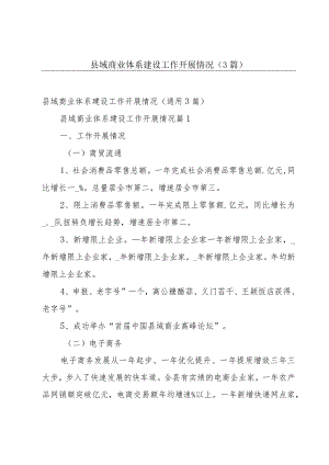 县域商业体系建设工作开展情况（3篇）.docx