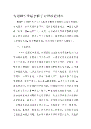 专题组织生活会班子对照检查材料.docx