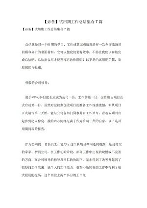 【必备】试用期工作总结集合7篇.docx