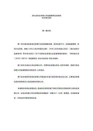 湖北省商业保理公司监督管理实施细则.docx