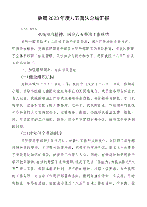 数篇2023年度八五普法总结汇报.docx