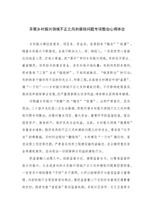 2023开展乡村振兴领域不正之风和腐败问题专项整治心得体会(精选10篇模板).docx