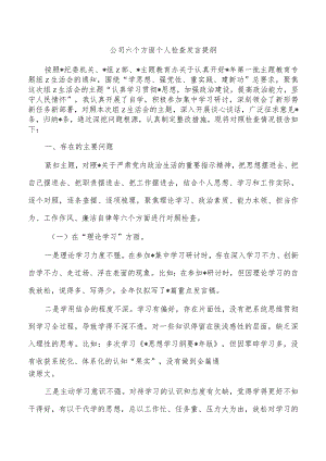 公司六个方面个人检查发言提纲.docx