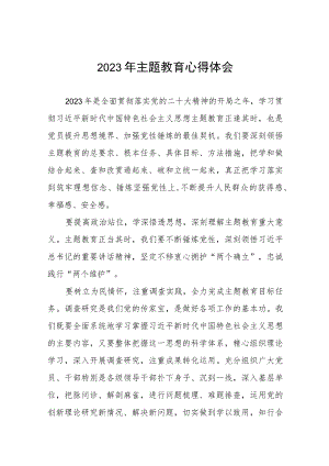 2023年公司党委书记关于主题教育心得体会(六篇).docx