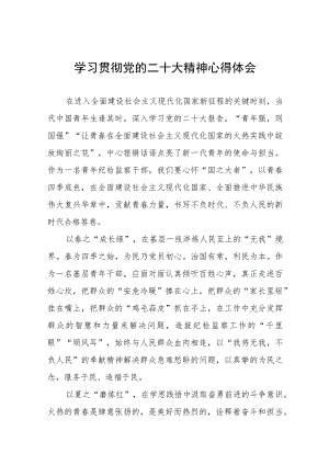 2023纪检干部学习贯彻党的二十大精神心得感悟十四篇.docx