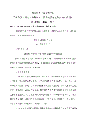 湖南省恢复和扩大消费的若干政策措施（2023年）.docx