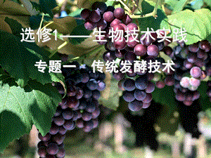 选修1发酵技术实践果酒果醋腐乳.ppt