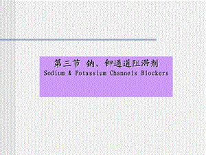 钠离子钾离子通道阻滞剂.ppt