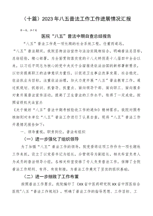 （十篇）2023年八五普法工作工作进展情况汇报.docx