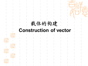 载体的构建Constructionofvector.ppt