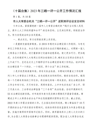 （十篇合集）2023年三晒一评一公开工作情况汇报.docx