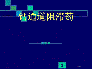 钙通道阻滞药.ppt