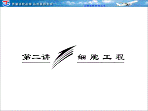 选修第二讲细胞工程.ppt