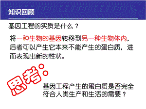 选修三14蛋白质工程的崛起.ppt