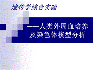 遗传实验05人外周血培养与染.ppt