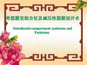 骨筋膜室综合征.ppt