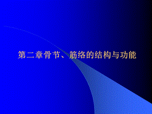 骨的外形和结构.ppt