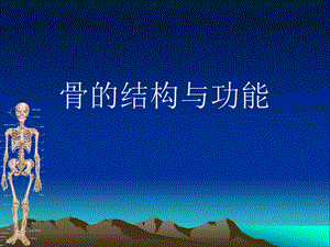 骨的结构和功能.ppt