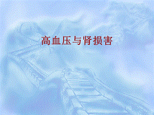 高血压与肾损害.ppt