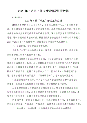2023年“八五”普法推进情况汇报数篇.docx