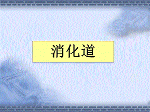 消化道的常用检查.ppt