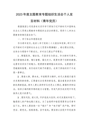 2023年度主题教育专题组织生活会个人发言材料（青年党员）.docx