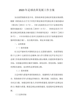 2023年足球改革发展工作方案.docx