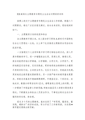 XX副局长主题教育专题民主生活会对照剖析材料.docx