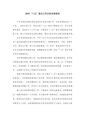 2023“八五”普法工作总结自查报告范文精选(8篇).docx