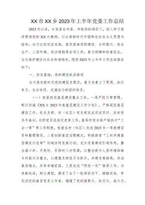 XX市XX乡2023年上半年党委工作总结.docx