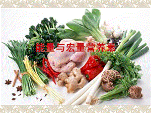 能量与宏量营养素.ppt