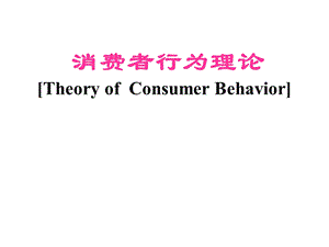 消费理论.ppt