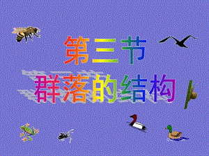 群落的结构H.ppt