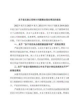 公司审计问题整改落实情况的报告.docx