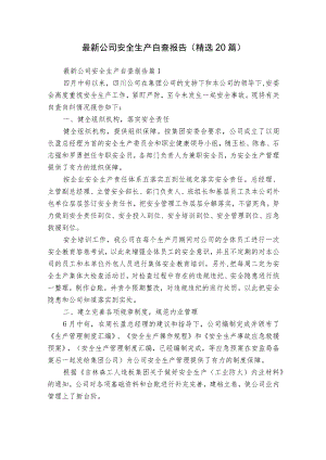 最新公司安全生产自查报告（精选20篇）.docx