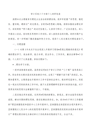 审计系统六个方面个人剖析检查.docx