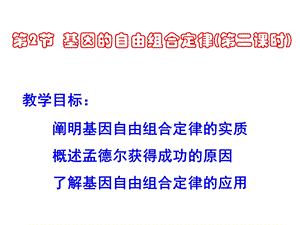 苏教版教学课件基因自由组合定律二.ppt