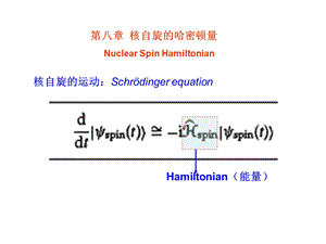 自旋动力学第八章核自旋的哈密顿量.ppt