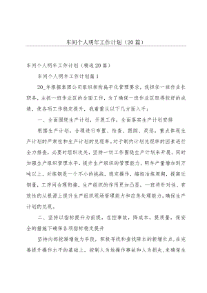 车间个人明年工作计划（20篇）.docx