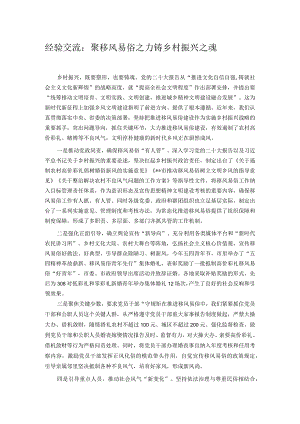 经验交流：聚移风易俗之力 铸乡村振兴之魂.docx